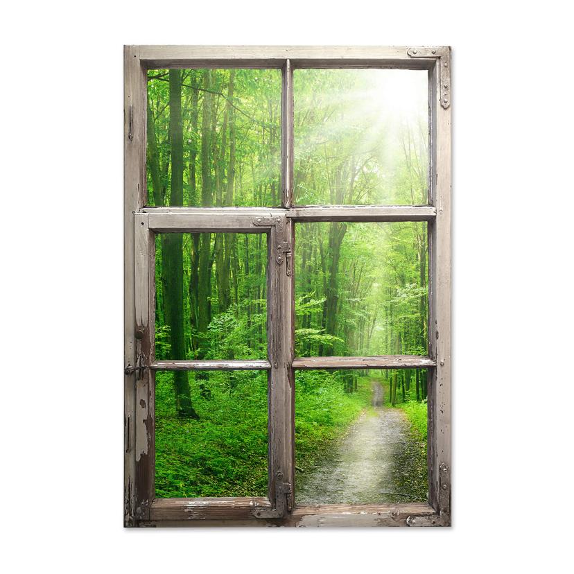 Adesivo 3D Finestra – Sunny Forest