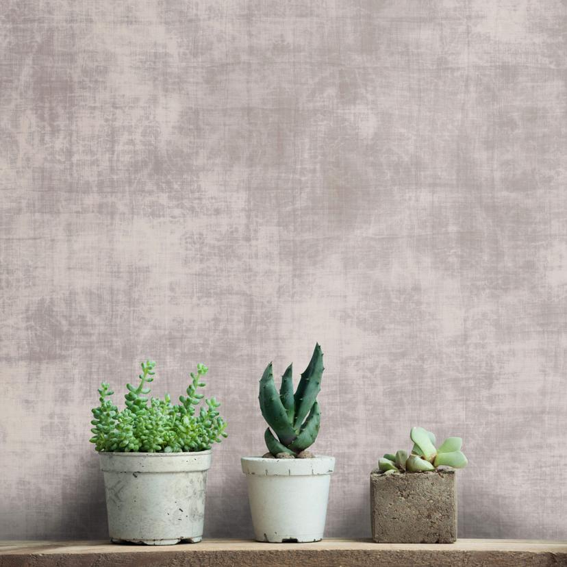 Livingwalls Fototapet Walls by Patel Greige Canvas 2