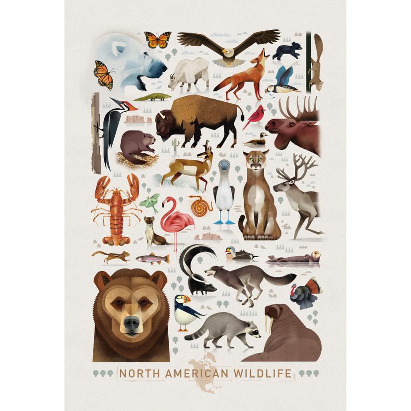 Fotomurale Braun - North American Wildlife