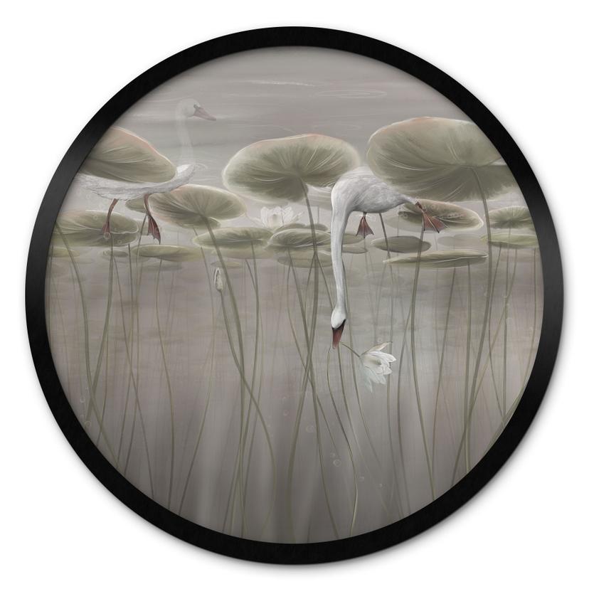Poster Lotusblumen mit Schwan im Wasser in Grau - Ms Tiff - Rund