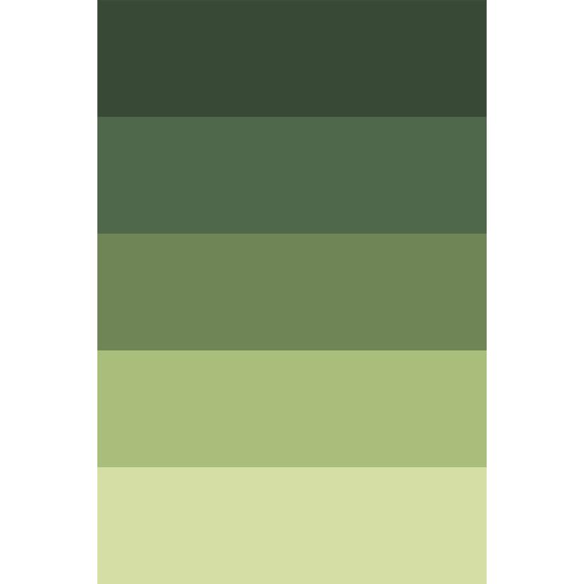 Sticker meuble, Film décoratif adhésif - lavable - Dégradé de vert - Lot de 5