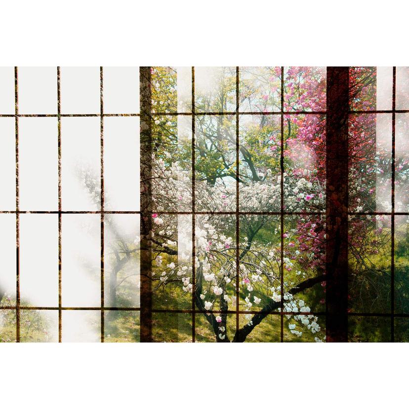 Livingwalls Fotomurale Walls by Patel 2 orchard 1