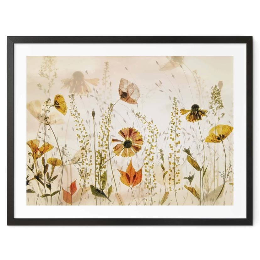 Plakat Vilde engblomster i sollys - Talen