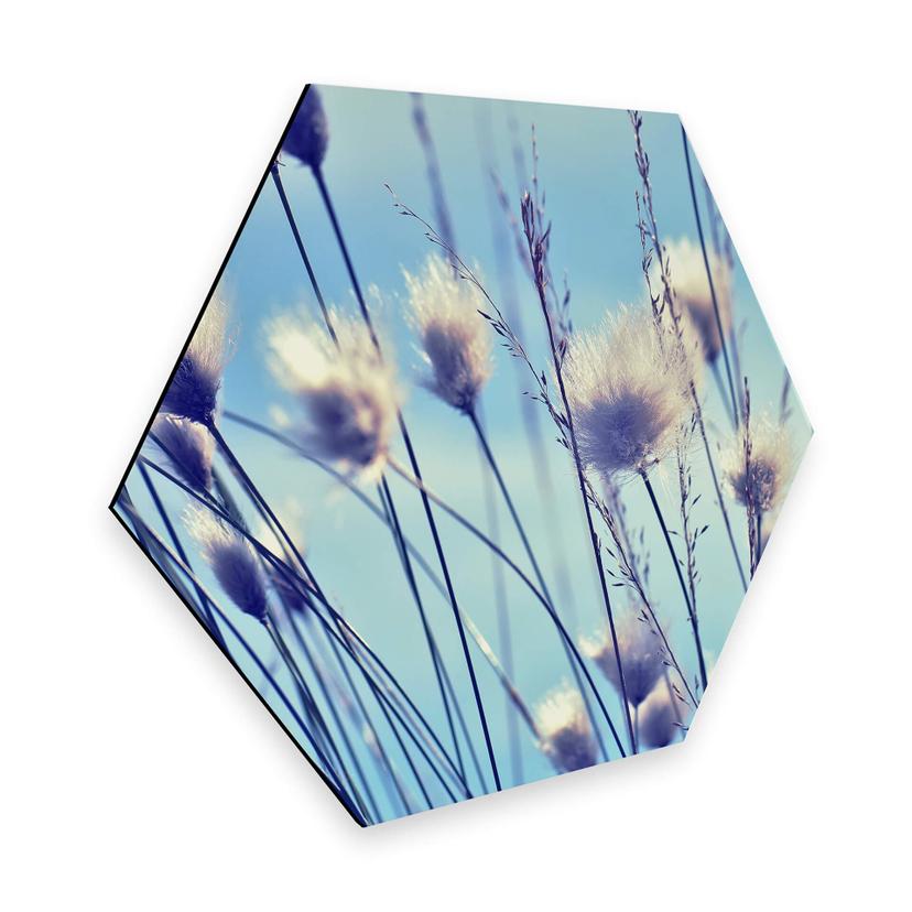 Hexagone - Alu-Dibond Delgado - Fleurs dans le vent