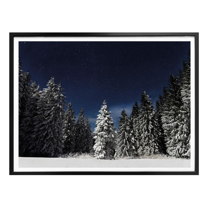 Plakat - Vinterskov