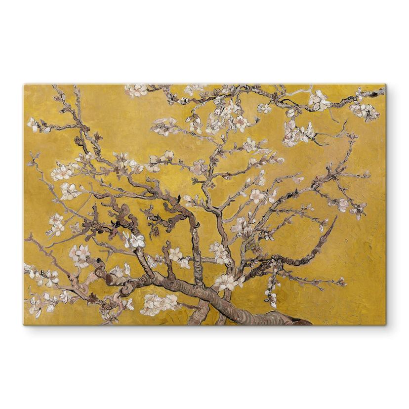 Pannello paraschizzi van Gogh - Mandorlo in fiore