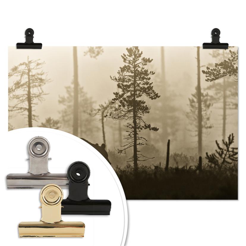 Poster Ove Linde - Nebbia mattutina
