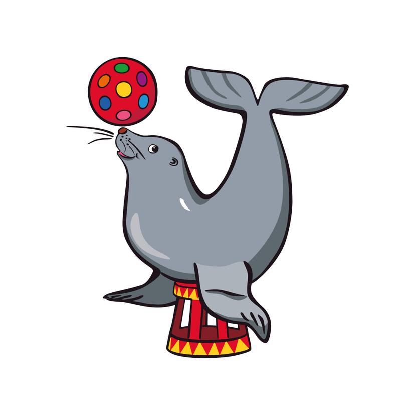 Adesivo murale - Foca