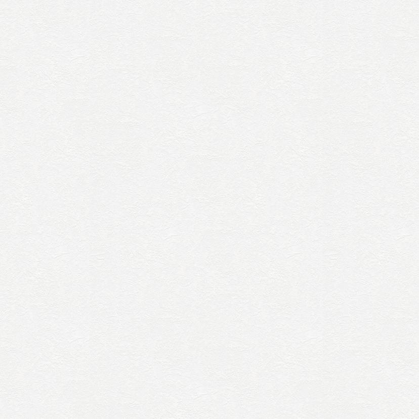 Papier peint intissé recouvrable A.S. Création Meistervlies Pro Protect 2 blanc