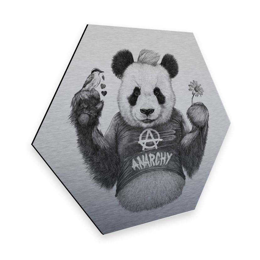 Hexagon - Alu-Dibond zilver effect Kools - Punk Panda