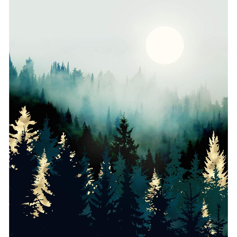 Fototapet SpaceFrog Designs - Dimmig skog