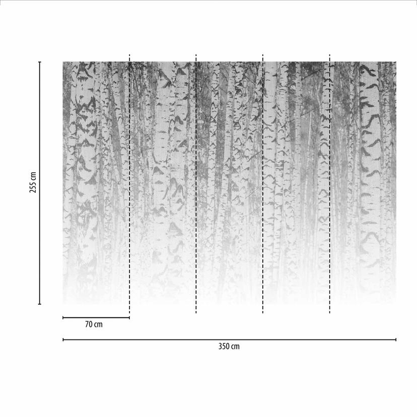 BirchForest1 Carta da parati foresta di betulle in grigio bianco - Carta da parati in tessuto non te