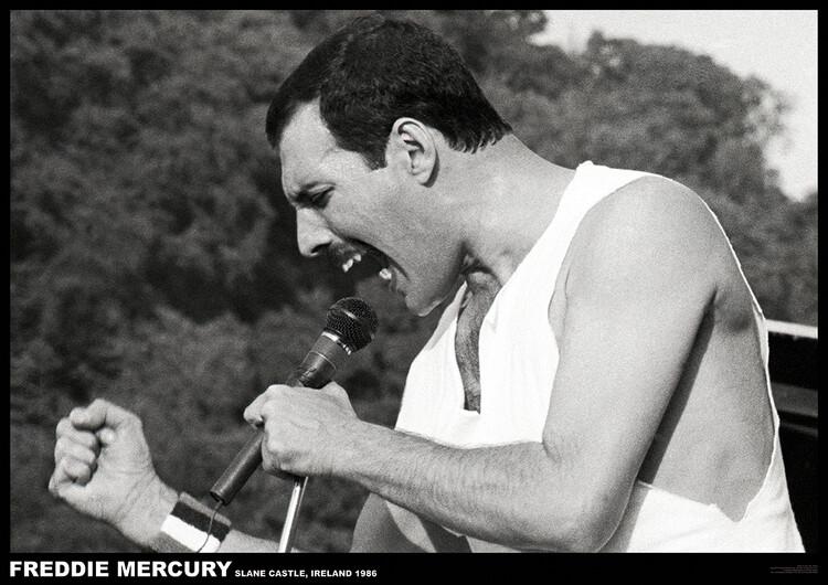 Poster Freddie Mercury - Slane castle, Ireland 1996, affiche (84,1 x 59,4 cm)