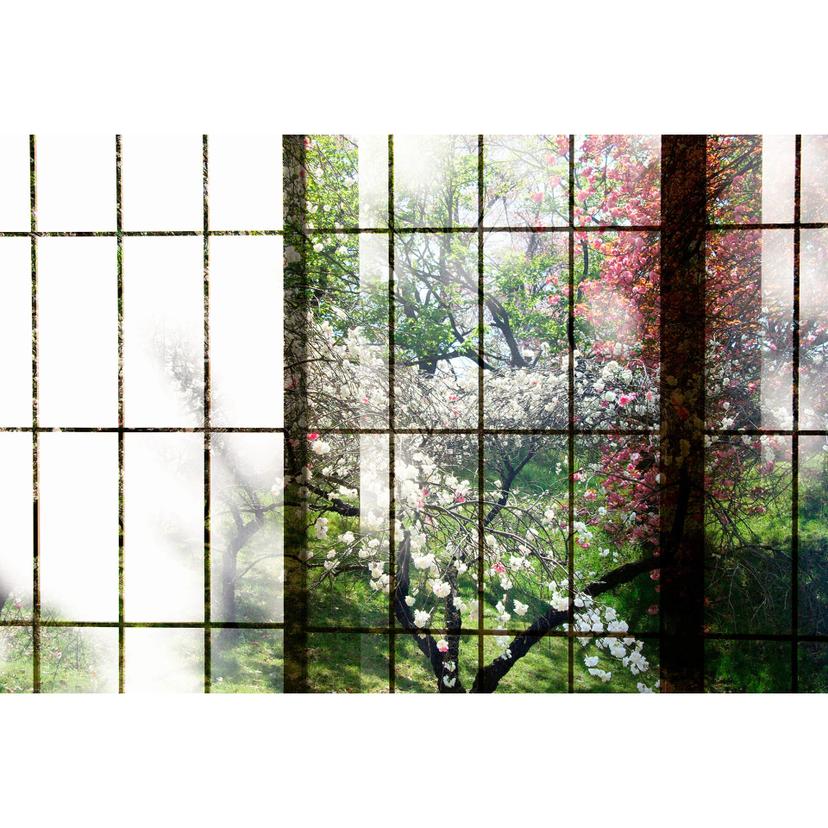 Livingwalls Fotomurale Walls by Patel 2 orchard 2