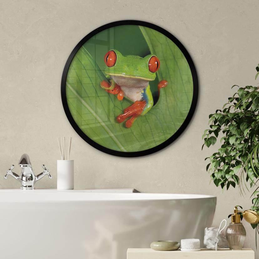 Poster rana arborea nella foresta pluviale - van Duijn - Rotonda