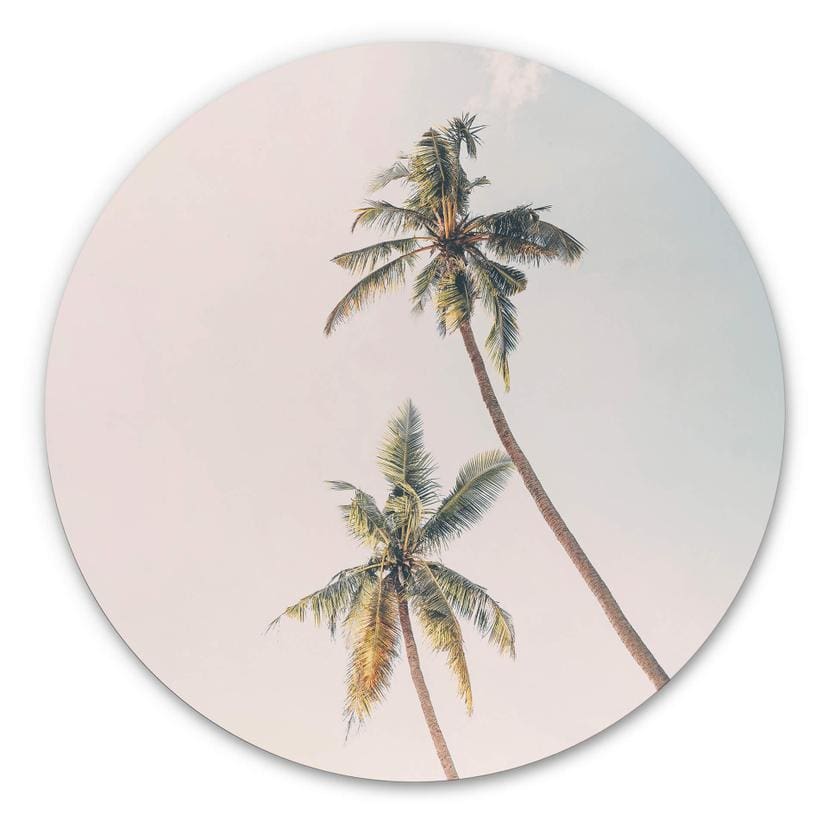 Tableau sur alu-Dibond rond Sisi & Seb - Palmiers au vent