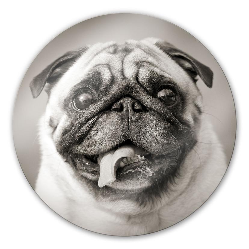 Tableau en verre - Adorable chien - rond