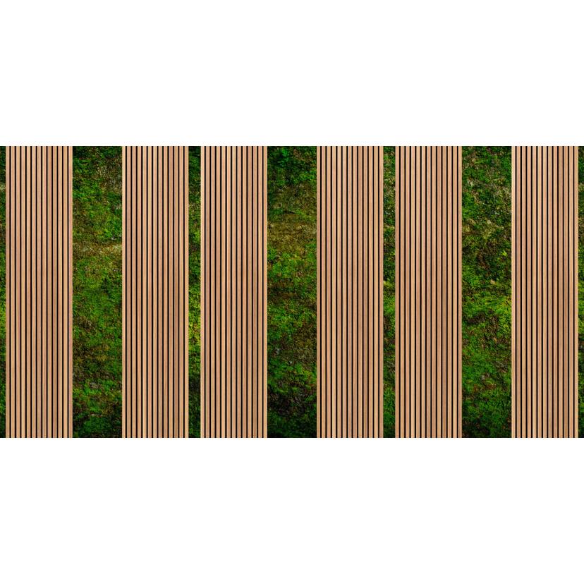 Musgo y madera verde y marrón - Fotomural diseño naturaleza