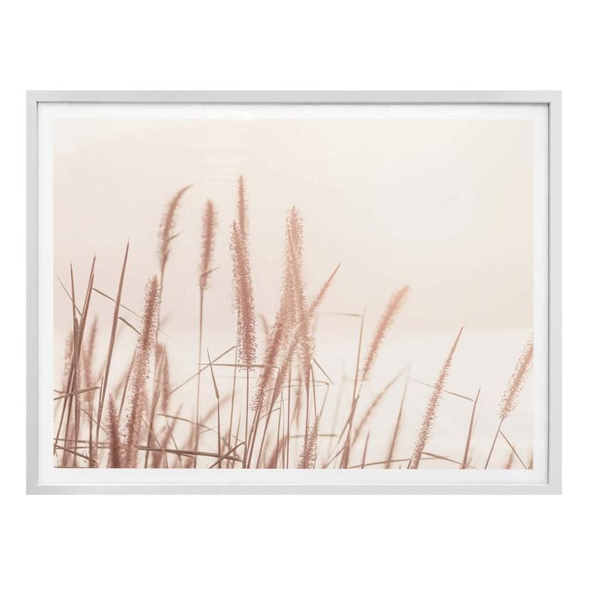 Poster Herbes au bord de la mer
