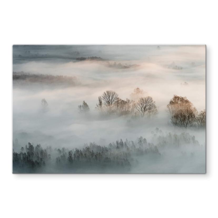 Glasschilderij Galimberti - Winter Fog