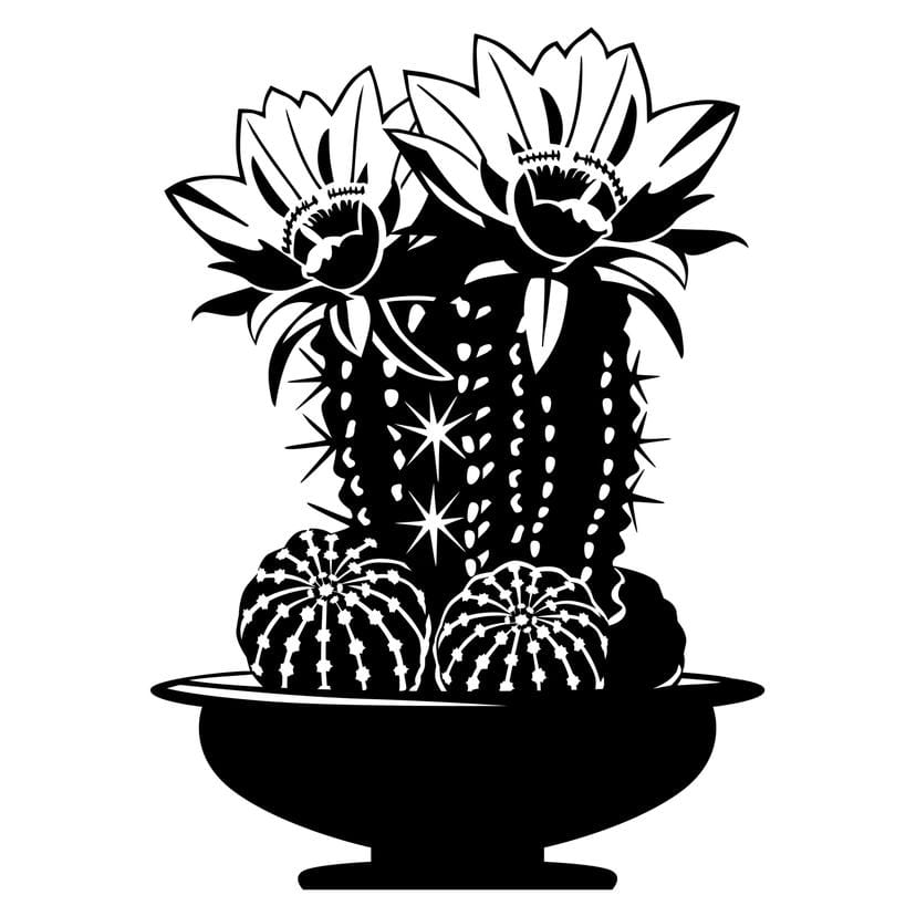 Adesivo murale - Cactus 1