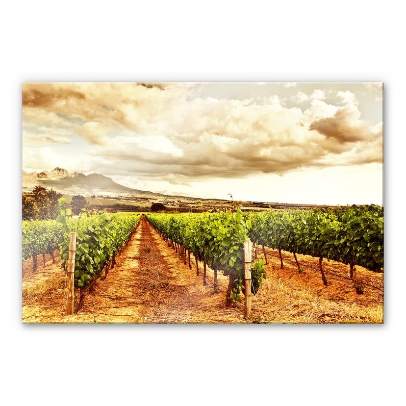 Tableau en verre acrylique - Vigne dans les montagnes