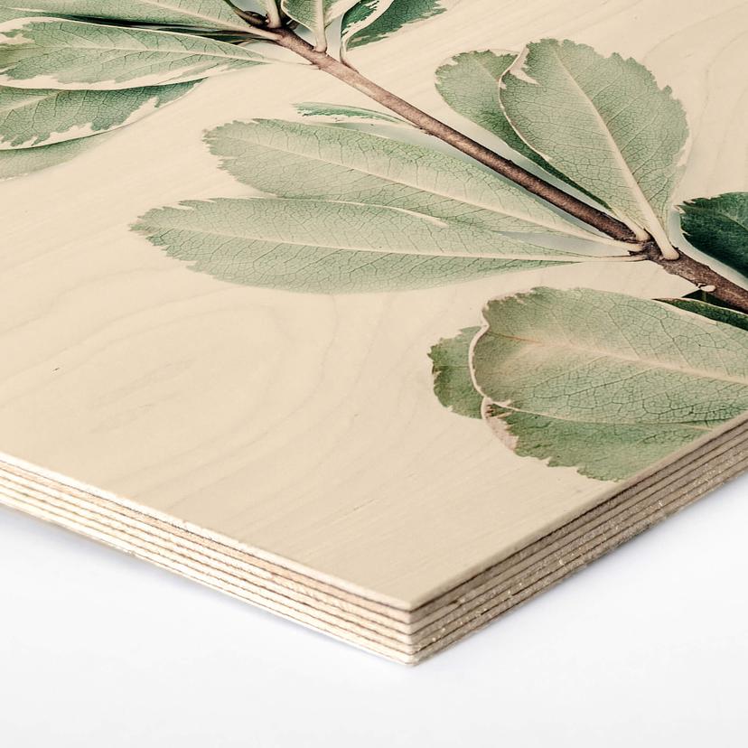 Esagoni in legno Sisi & Seb - Botanico