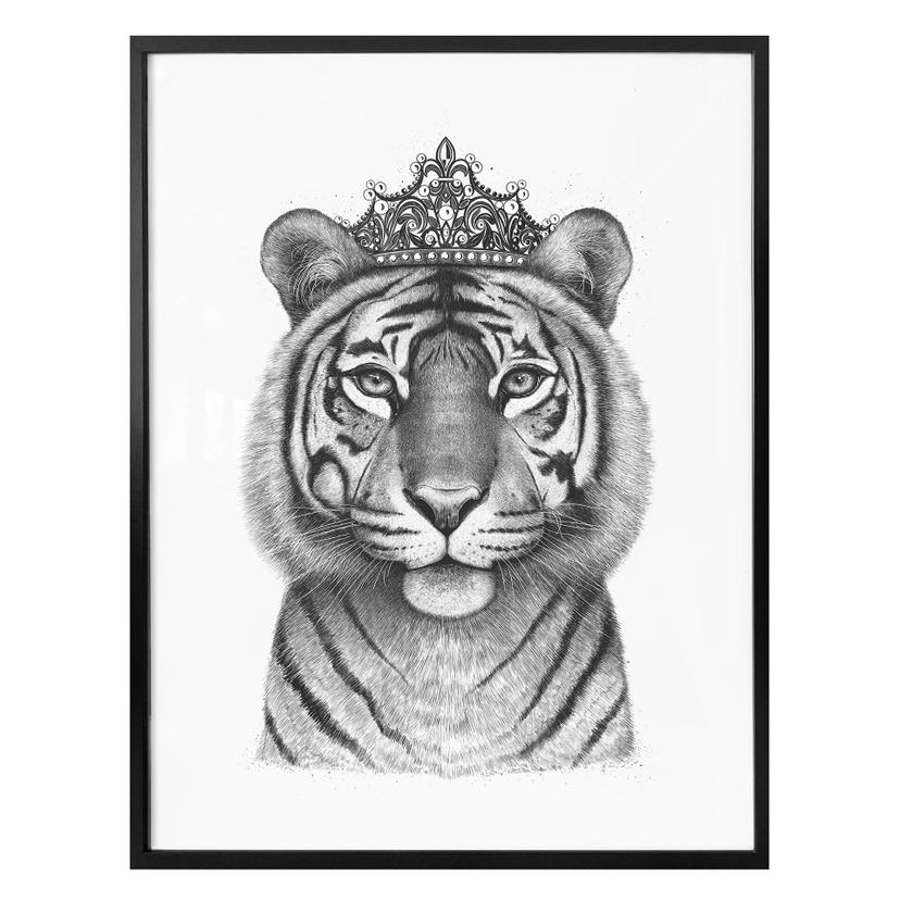 Plakat - Korenkova - The Tigress queen