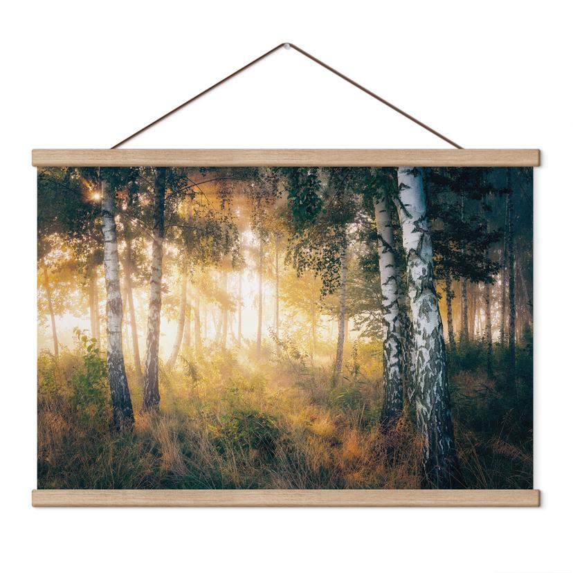 Textielposter Zonneschijn in het berkenbos - Kado