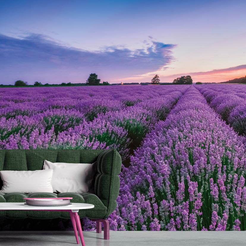 Fototapet lilla blå - Ikke-vævet tapet 3,75 m x 2,50 m blomstermark Provence