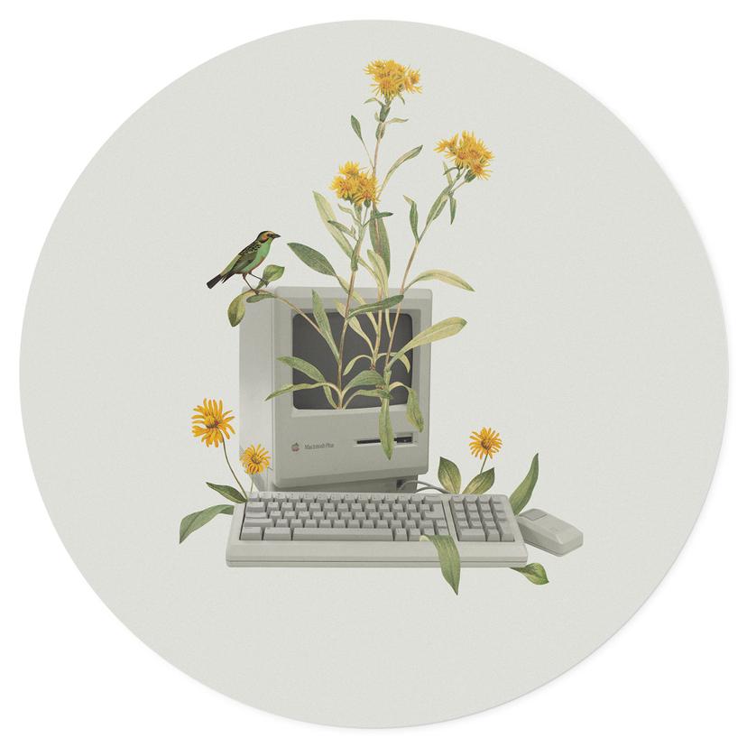 Vinilo decorativo de ordenador con motivos botánicos vintage - Frida Floral Studio - Redondo