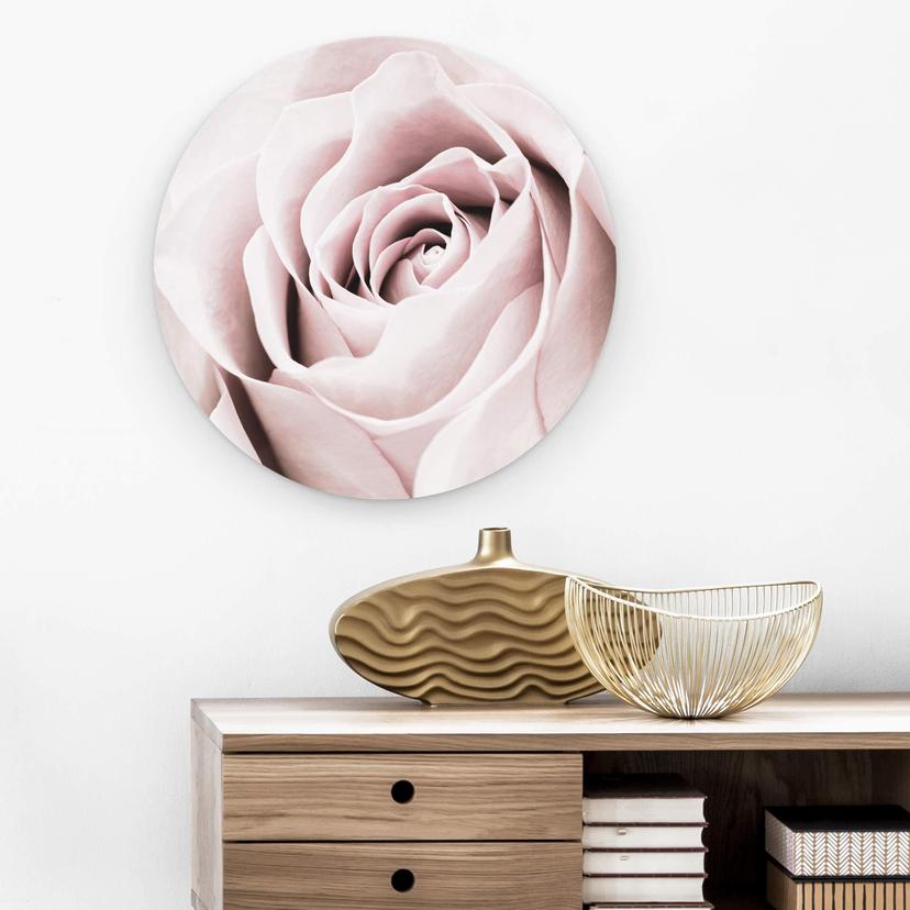 Alu-Dibond 1X Studio - Rosa - tondo