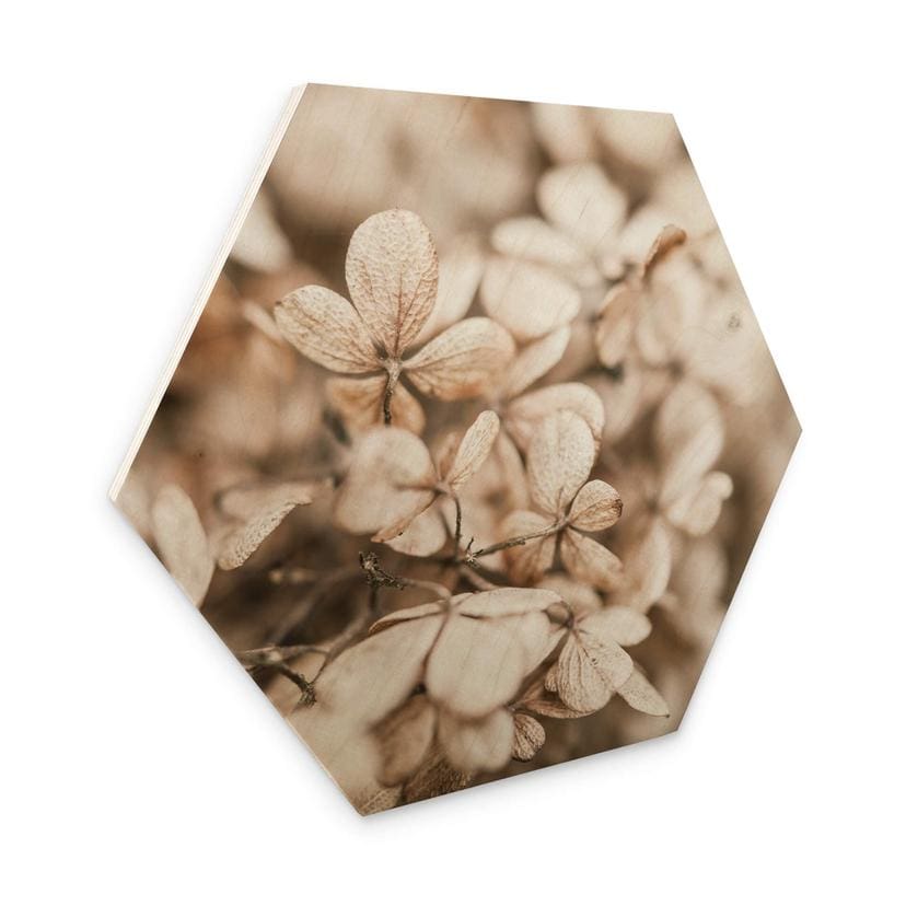 Hexagone - Bois Annie - Fleurs en velours
