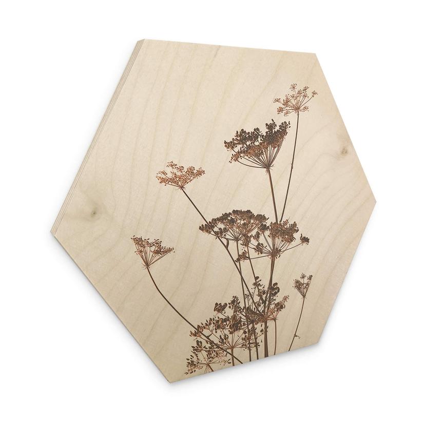 Hexagone - Bois Herbes sauvages