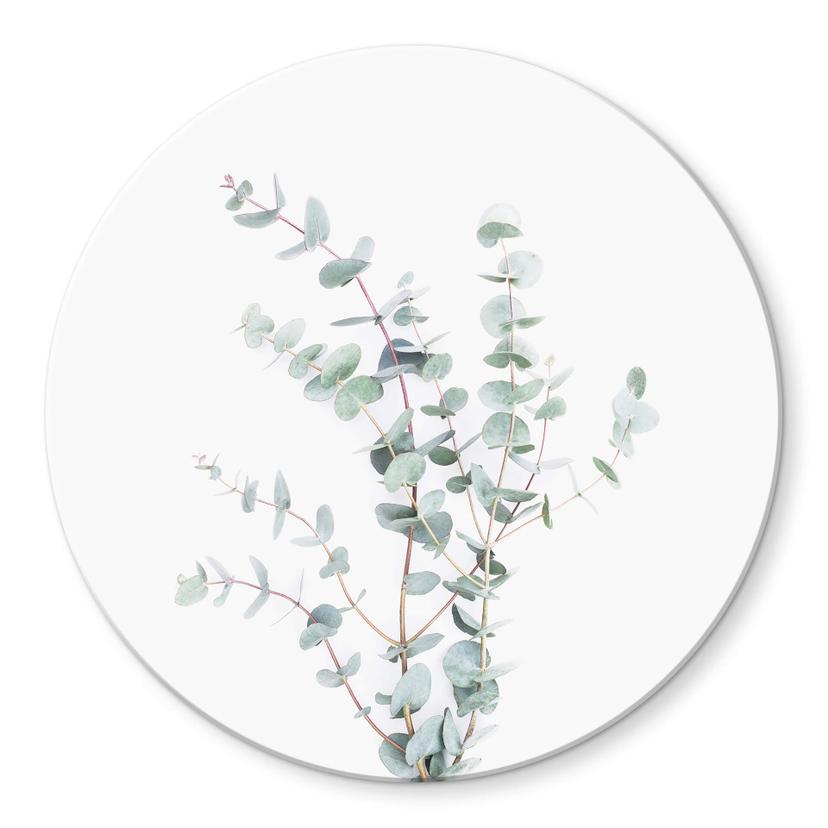 Tableau en verre Sisi & Seb - Branche d'Eucalyptus - Rond