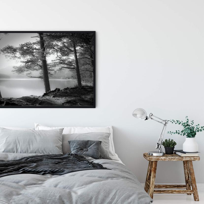 Poster Fuhg - Utsikt över sjön