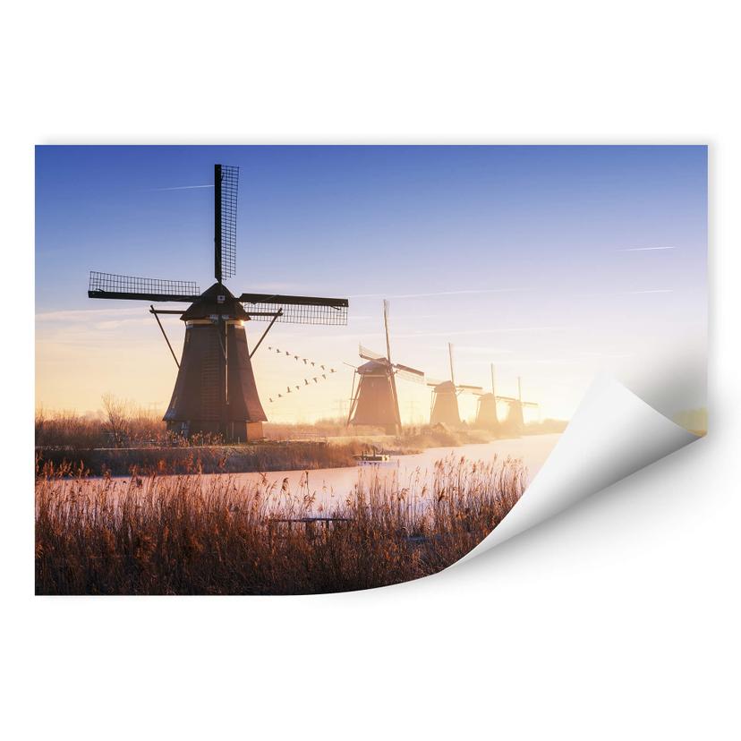 Zelfklevende Poster Pablo - Kinderdijk 4