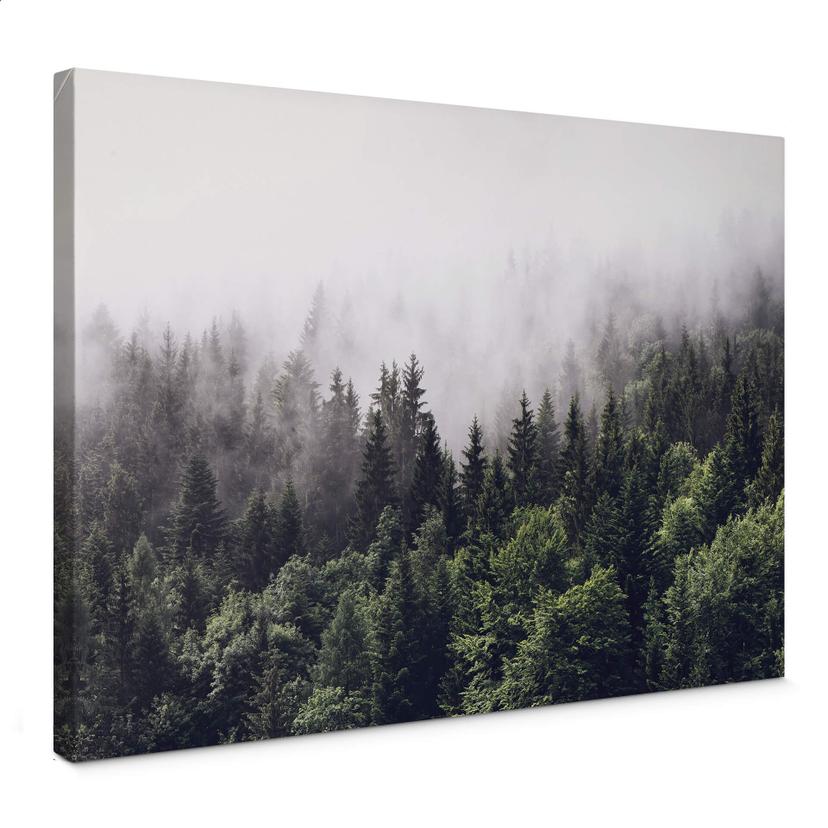 Canvasbillede - Tåget skov