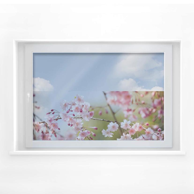 Cuadro de ventana con cerezos en flor