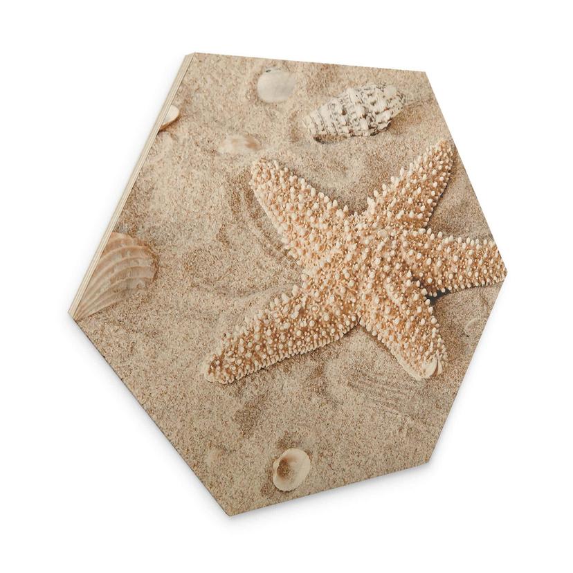 Hexagone - Bois Poisson-étoile dans la plage dorée