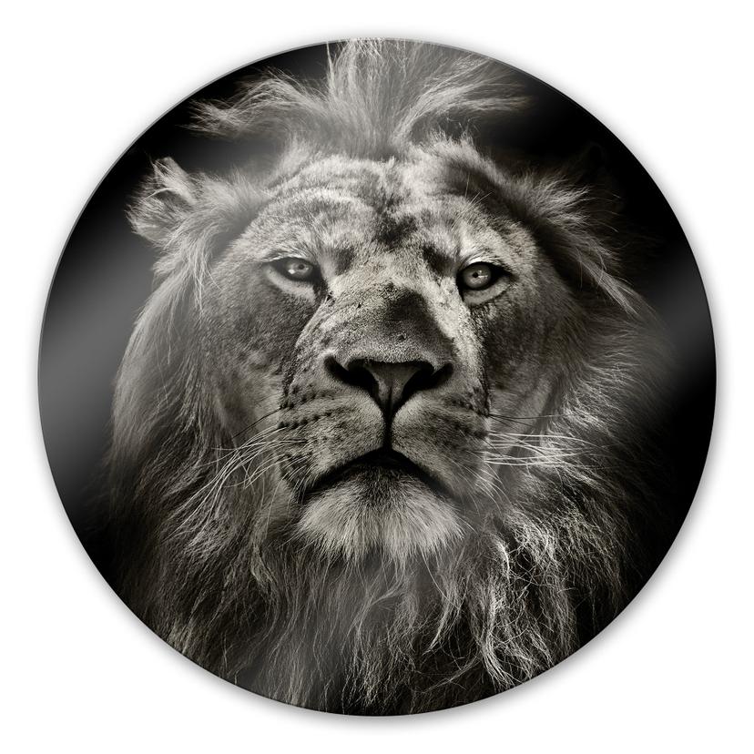 Tableau en verre - Lion - rond