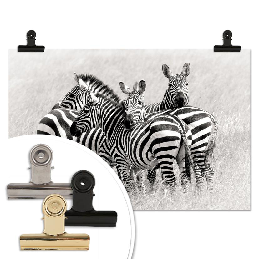 Poster Trubitsyn - Zebre nella savana