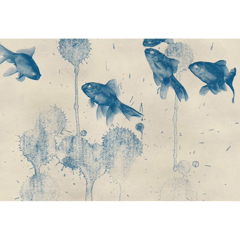Fotomurale Pesce blu