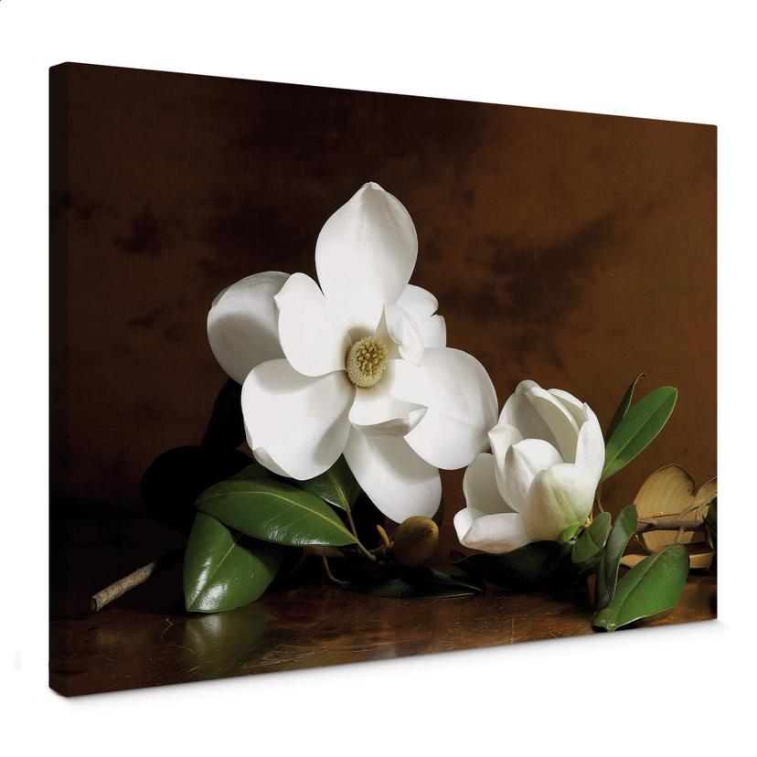 Tableau sur toile Branche de Magnolia