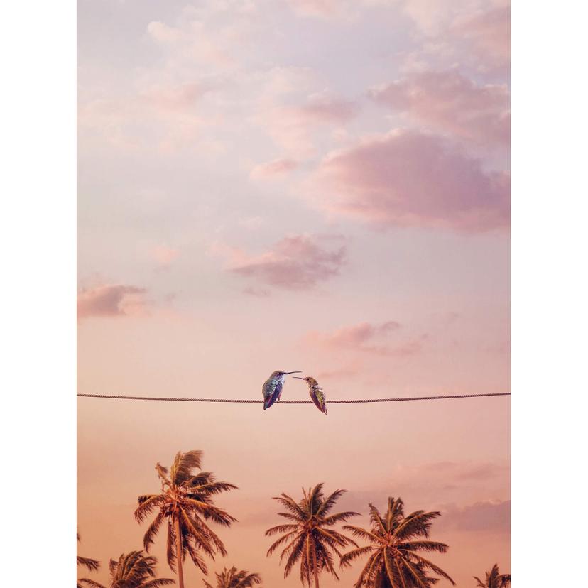 Fotomurale Loose - Hummingbirds in Love