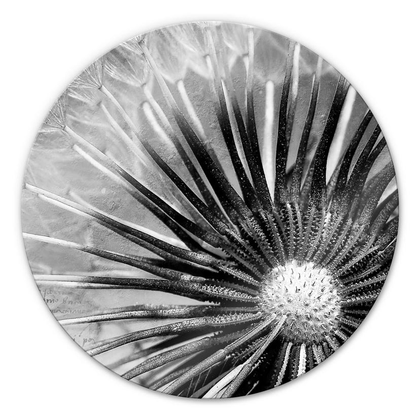 Glasschilderijen Paardebloem - rond