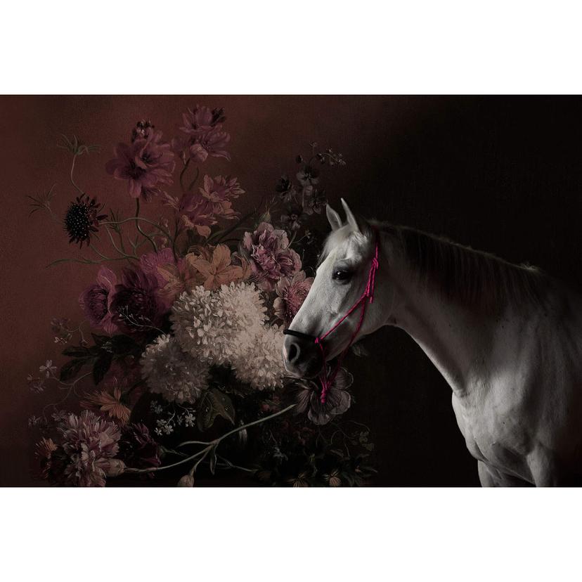 Fotomural Paredes de Patel caballos 1