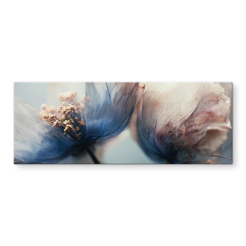 Glasbillede - Filigran tørrede blomster i lyset - Treechild - Panorama