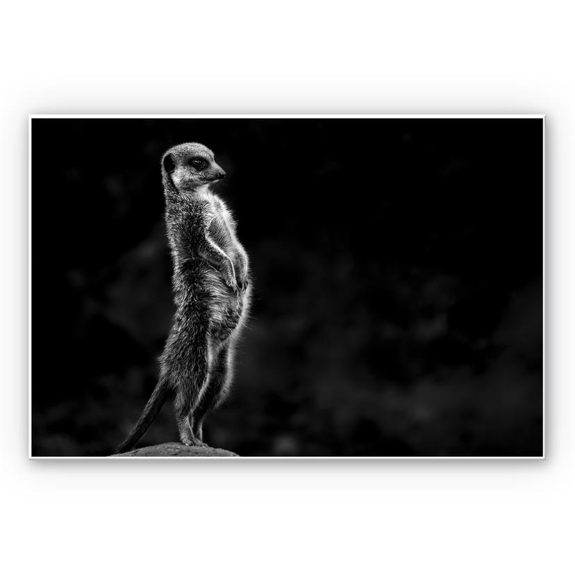 Wandbild van Son - Wachsamkeit