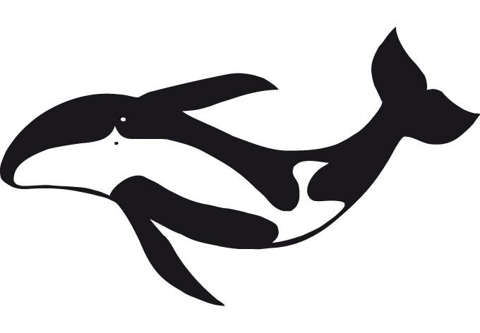 Balena